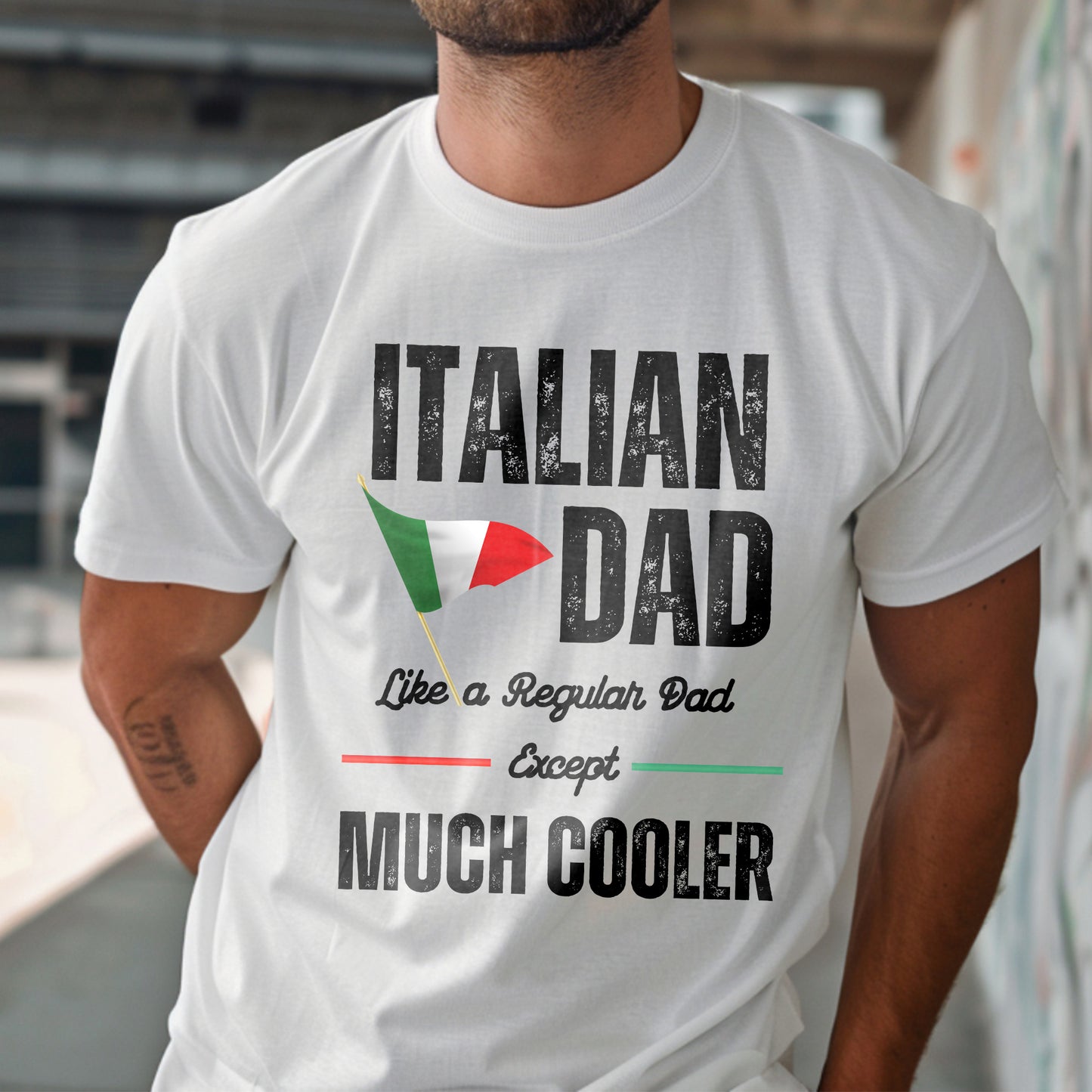 Gift for Italian Dad t-shirt, Cool Dad Shirt, Festa Del Papa' Tee, Italian Dad Shirt