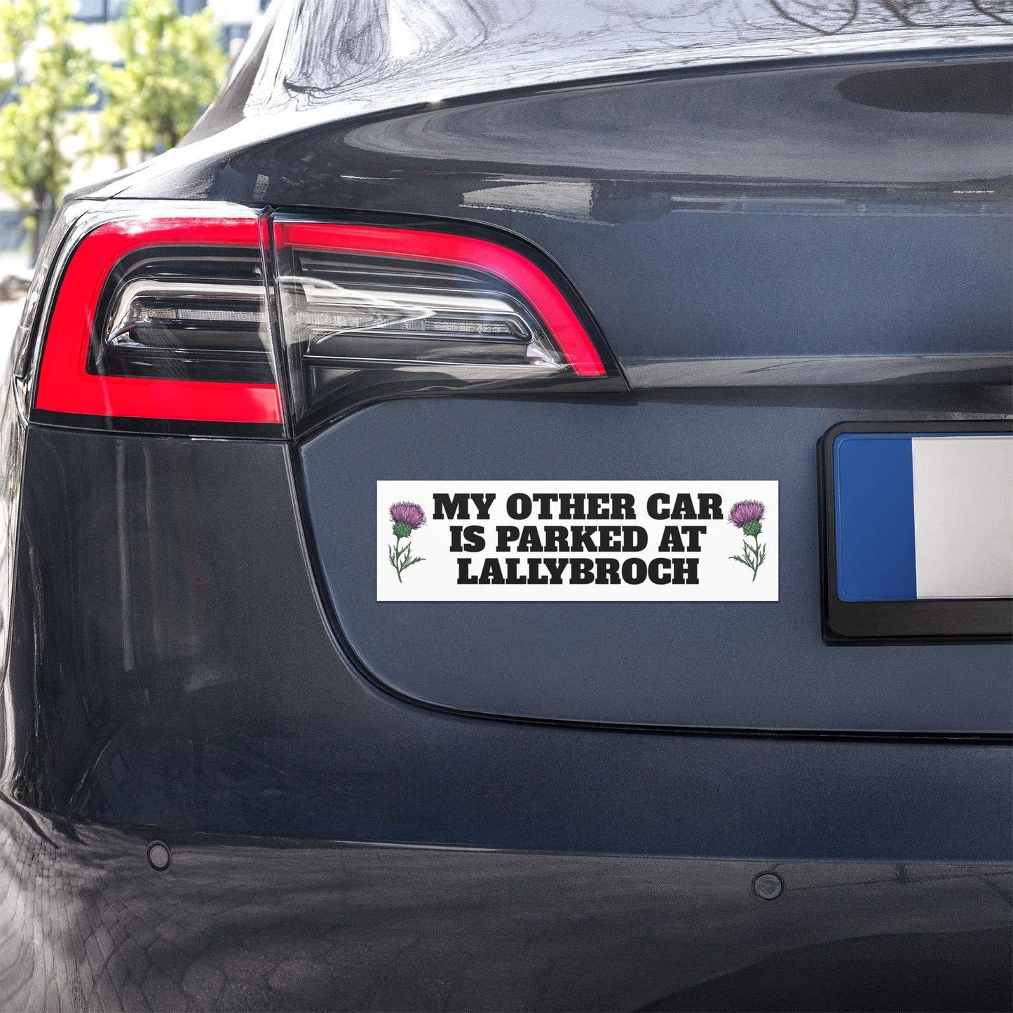 My Other Car is Parked at Lallybroch 10″×3″ Magnet