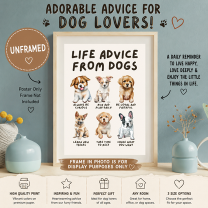 Life Advice from Dogs Poster