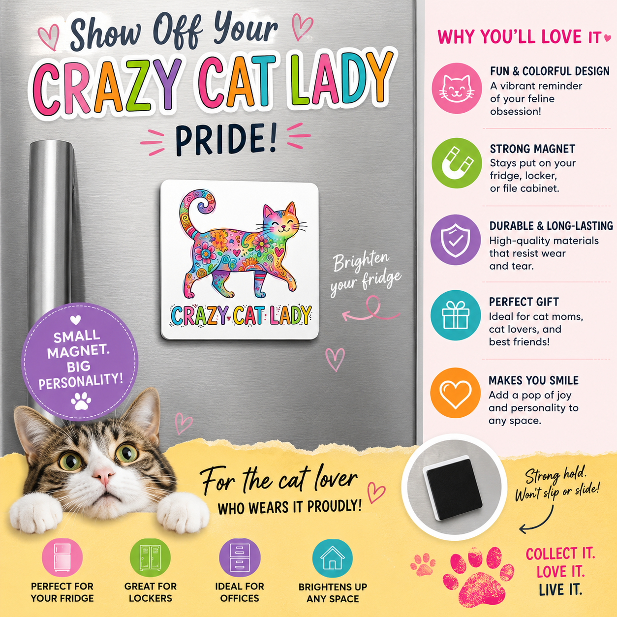 Crazy Cat Lady Magnet