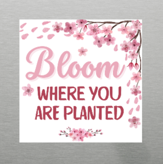 Bloom Where You're Planted Magnet, Inspirational Magnet, Refrigerator Magnet, Gift for Mom, Stocking Stuffer