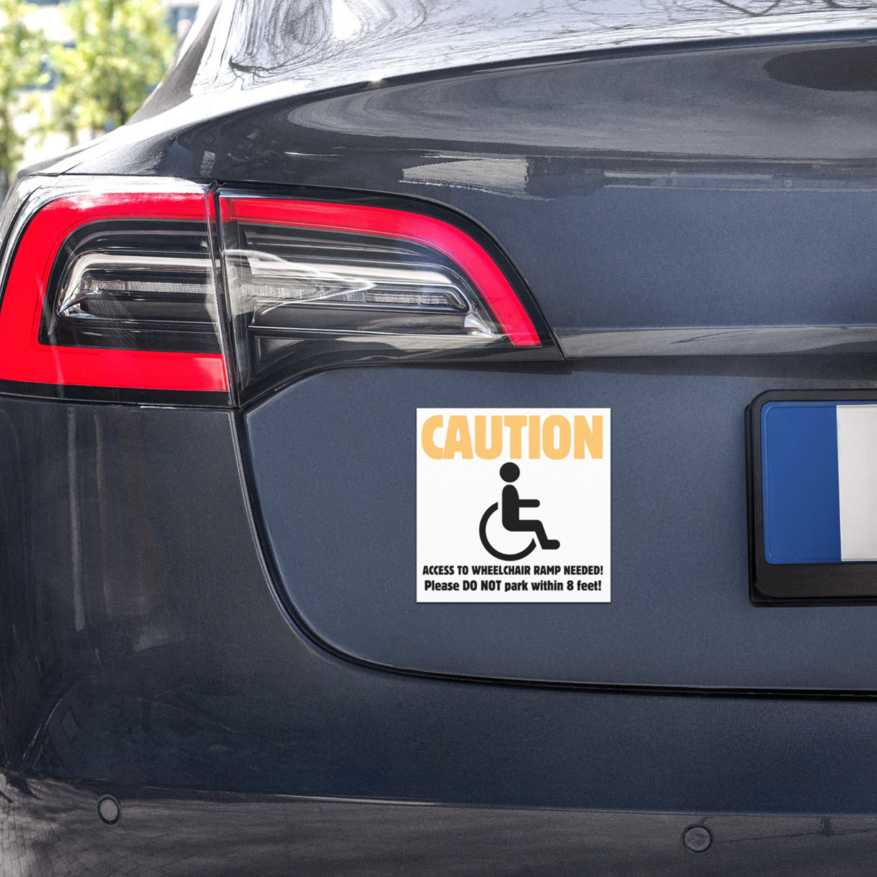 Disabled Parking Car Magnet 5' x  5'
