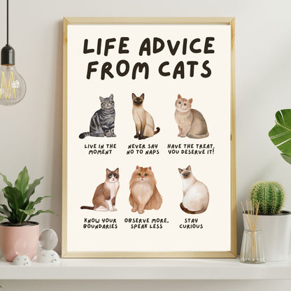 Life Advice from Cats Poster, Cat Wisdom Wall Art, Cat Lovers Gift, Feline Wisdom Home Decor UNFRAMED