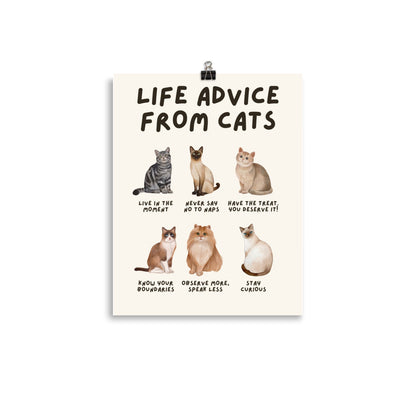 Life Advice from Cats Poster, Cat Wisdom Wall Art, Cat Lovers Gift, Feline Wisdom Home Decor UNFRAMED