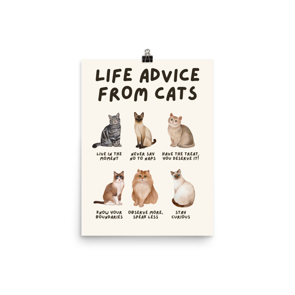 Life Advice from Cats Poster, Cat Wisdom Wall Art, Cat Lovers Gift, Feline Wisdom Home Decor UNFRAMED