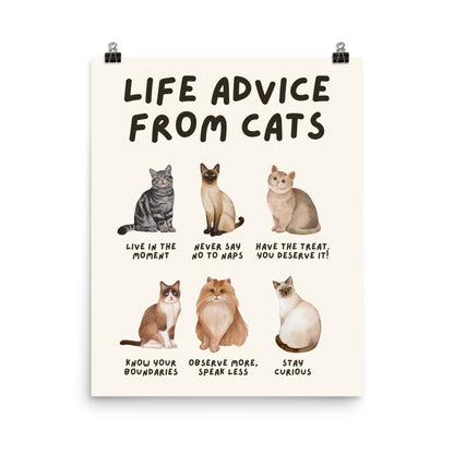 Life Advice from Cats Poster, Cat Wisdom Wall Art, Cat Lovers Gift, Feline Wisdom Home Decor UNFRAMED