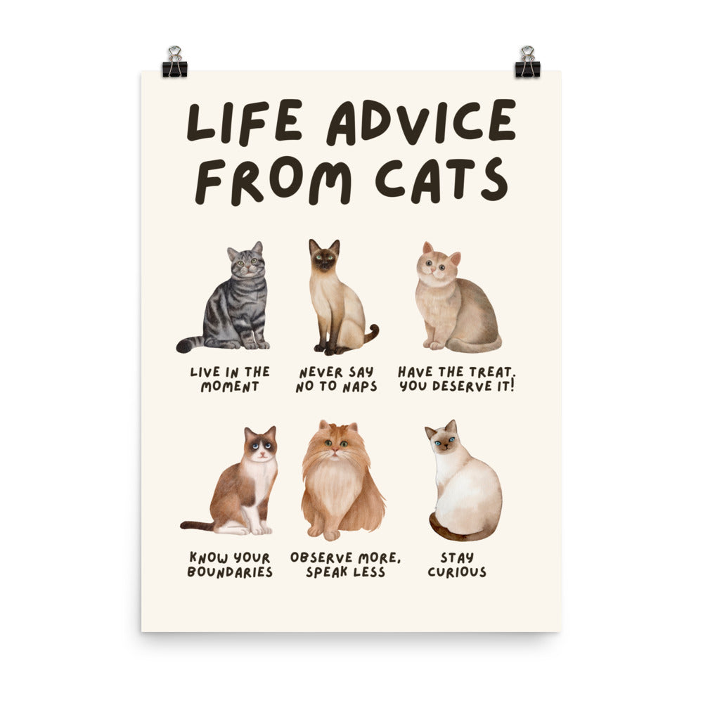 Life Advice from Cats Poster, Cat Wisdom Wall Art, Cat Lovers Gift, Feline Wisdom Home Decor UNFRAMED