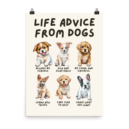 Life Advice from Dogs Poster, Dog Wisdom Wall Art, Dog Lovers Gift, Canine Wisdom Home Decor UNFRAMED