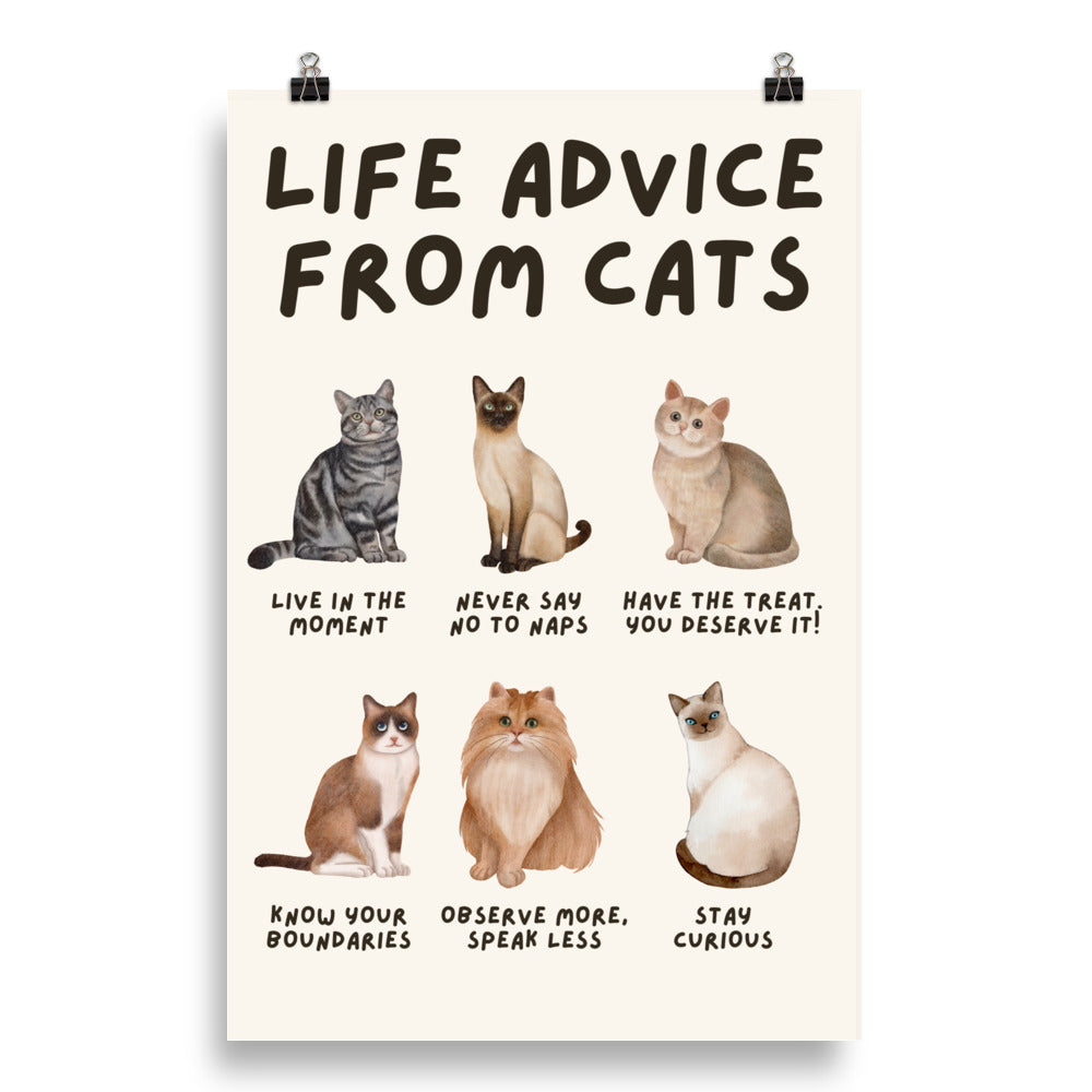 Life Advice from Cats Poster, Cat Wisdom Wall Art, Cat Lovers Gift, Feline Wisdom Home Decor UNFRAMED