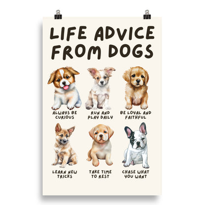 Life Advice from Dogs Poster, Dog Wisdom Wall Art, Dog Lovers Gift, Canine Wisdom Home Decor UNFRAMED