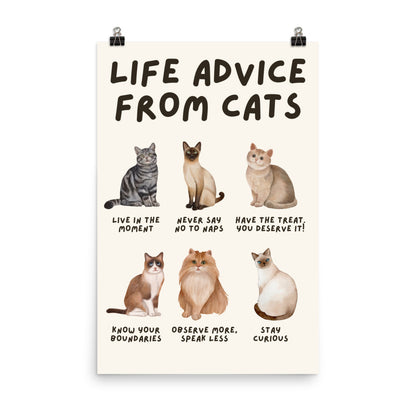 Life Advice from Cats Poster, Cat Wisdom Wall Art, Cat Lovers Gift, Feline Wisdom Home Decor UNFRAMED