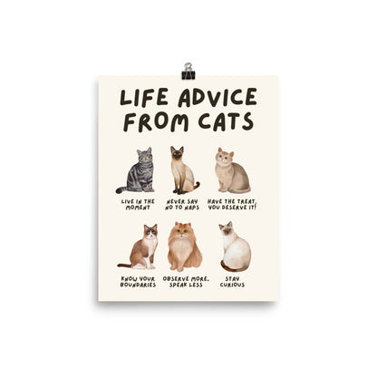 Life Advice from Cats Poster, Cat Wisdom Wall Art, Cat Lovers Gift, Feline Wisdom Home Decor UNFRAMED