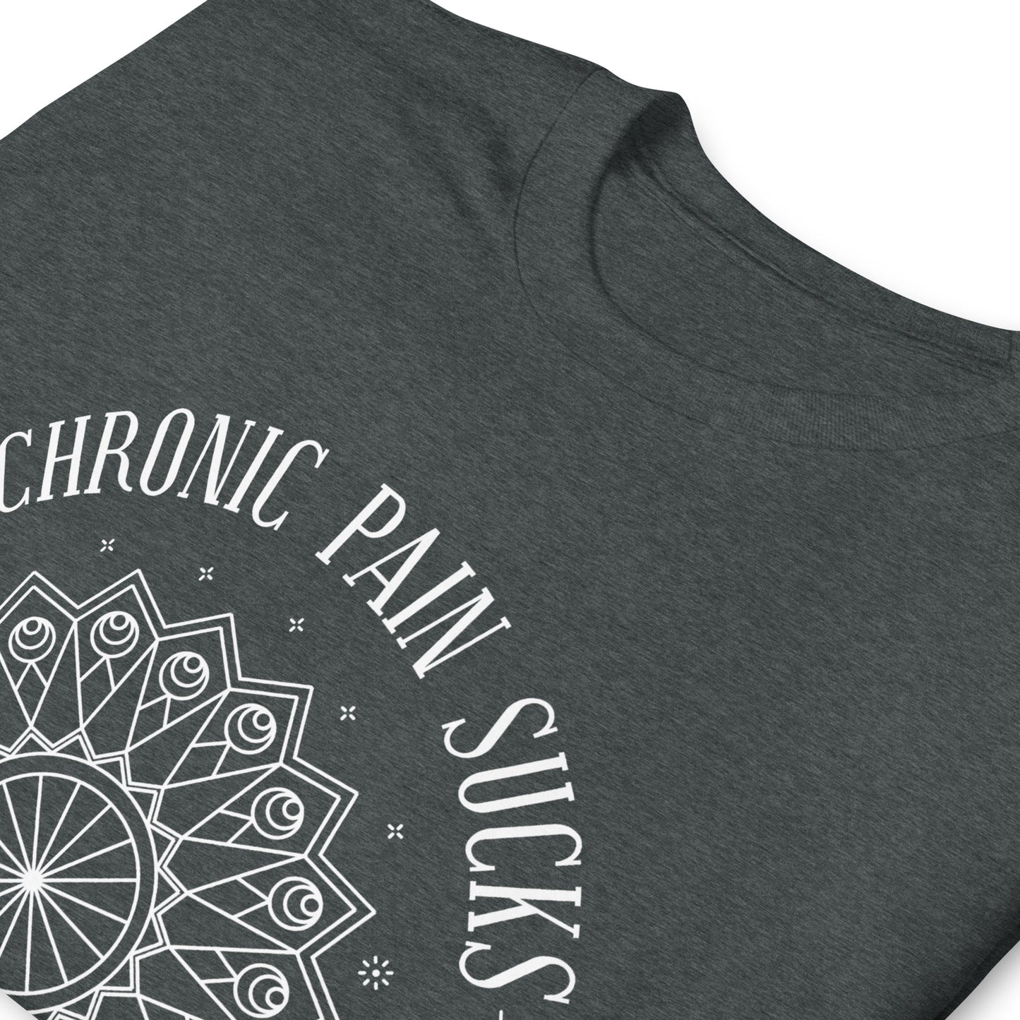 Chronic Pain Sucks Shirt, Chronic Pain Gift, Hidden Disability Tee, Invisible Illness Shirt, Chronic Illness Gift